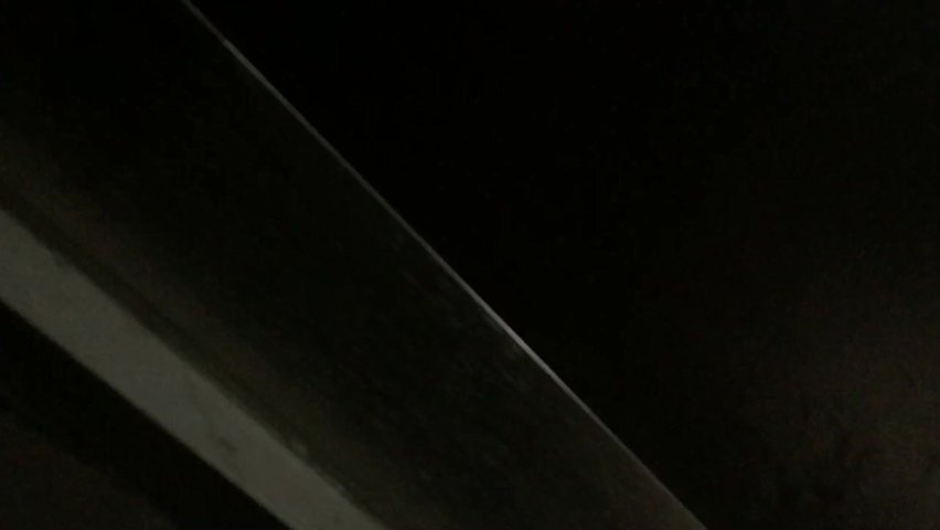 闪光强拍鲍鱼10