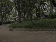 [YMDD-316] おじさん、あそぼ ～1日だけのわるい子～ 竹内美涼 - 1of5