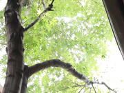 [ABP-223] 绝对从下到上的视线招待庵小町 芽森しずく【BVPP】 - 1of5