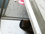 最新流出廁拍牛人潛入某寫字樓公共女廁偷拍各式美女同事如廁噓噓 有個牛仔短褲妹子顏值蠻高的 1080P高清原版