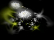 C0930 ki240721 愛内 智美 29歳