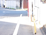 [JUL-225] マドンナ専属『白石茉莉奈』×超鉄板『相部屋』シリーズ！！ 【破解】 - 1of5