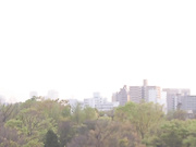 [JUY-226]  母の友人