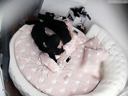 特色圆床房大学生情侣缠绵造爱衣服不脱就开始亲吻挑逗脱掉裤子往阴道里插多体位妹子肤白阴毛性感身材好