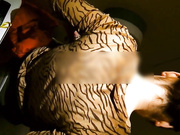 最牛逼大神经典TP国内某夜总会女厕 暗藏隔间内不停变换角度清晰拍摄 对话清楚