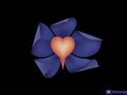 MassageRooms.18.12.26.Angel.Wicky