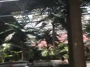 大胆女顾客国内某大型室内温泉酒店暗藏录像机TP女宾更衣间内部春色妹子真勇敢