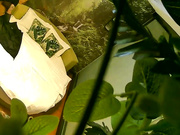 气质漂亮的良家小少妇和网友酒店私会被男的抱在床上强行扒掉内裤,美女哭着反抗没用后只能接受.干的真激烈!