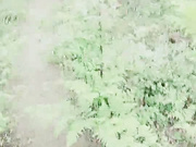 新脸孔姐妹花山上搭讪个采山货的小伙野战妹妹用逆天的巨乳给他胸推妹妹不单奶大还声音甜美