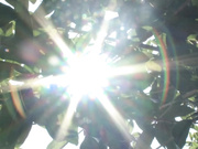 [ABP-180] 隔壁令人垂涎的诱惑婦人 林ゆな【破解】