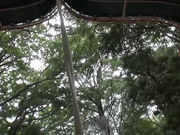 [ABP-190] 一泊二日美少女完全予約制 雲乃亜美【破解】 - 1of5