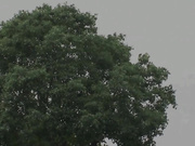 [ABP-194] 用充满母性和猥亵的身体来解决大家烦恼的新妻老师 武智沙世【破解】 - 1of5