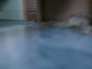 名牌大学双视角(拍脸赏逼)43给个感觉自己体会.mp4