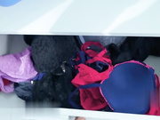 布拉泽斯——大山雀继母肯德拉·利斯特喜欢大公鸡