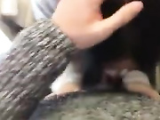 找刺激 动车系列