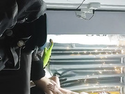 居家约操上门小姐身材火辣美乳侧入深插01