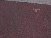 [SUJI-170] ●学生騙し媚薬わいせつ強● - 1of5